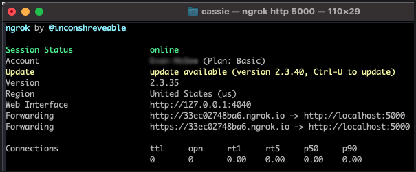 A screenshot of the ngrok text interface in a console. The tunnel session details are shown, including the forwarding URL.