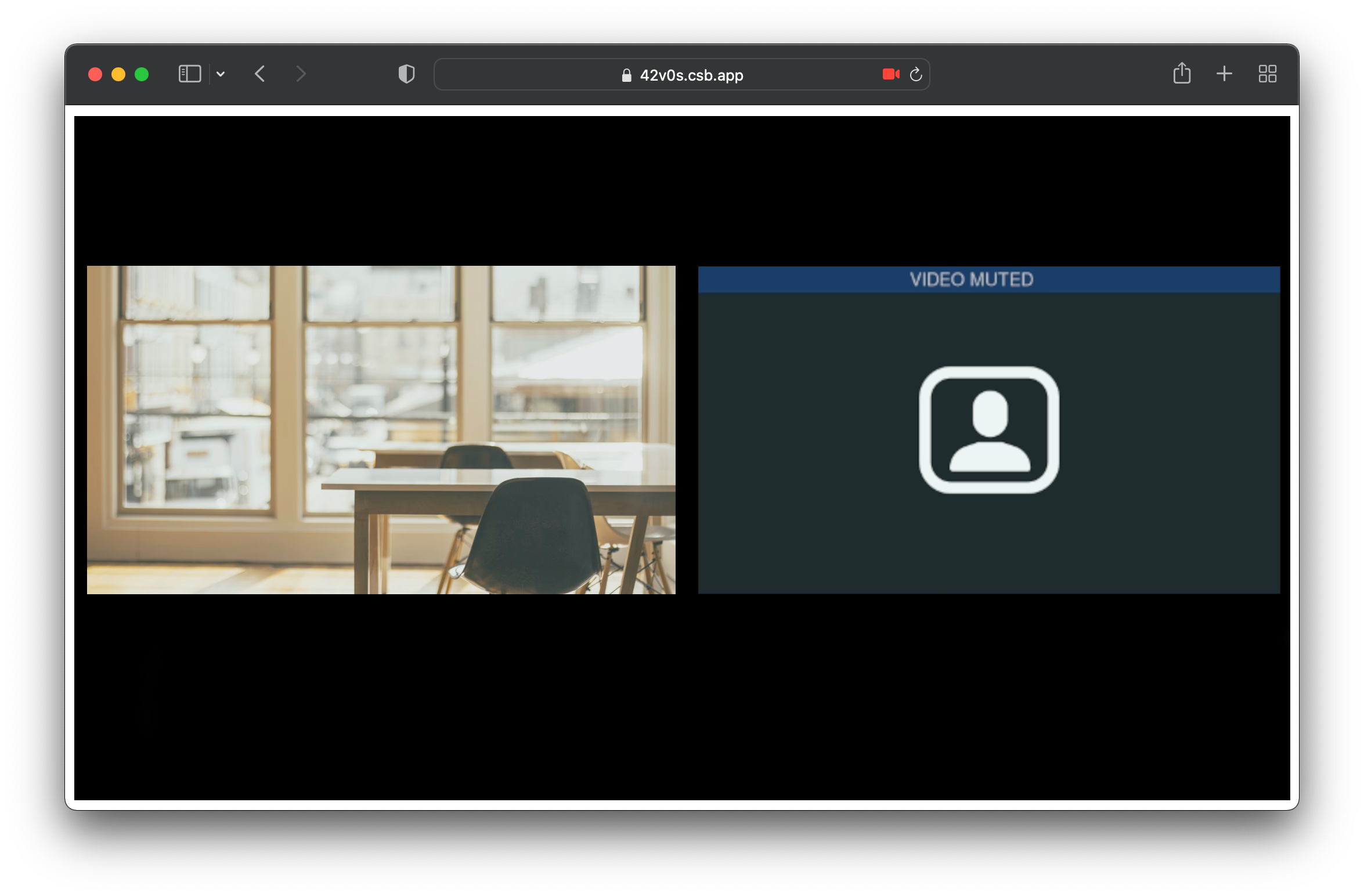 A screenshot of a video room in a Safari browser window. There are two participants, one with video muted.