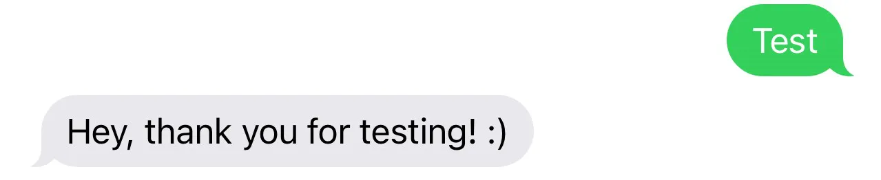 A screenshot of a text message exchange. The user sent a message reading: 'Test'. The response is 'Hey, thank you for testing'.