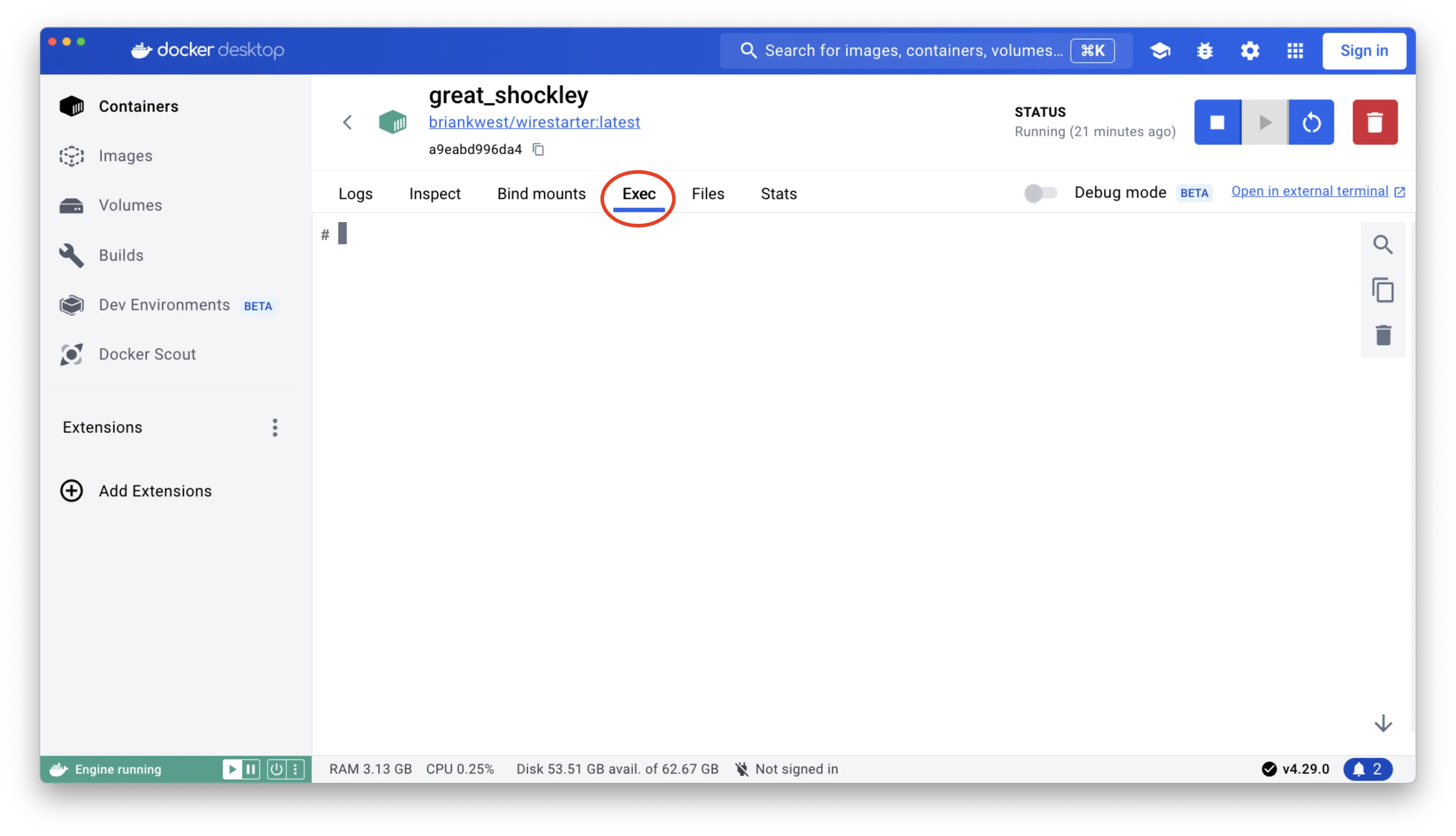 The Exec tab in the WireStarter Docker container.