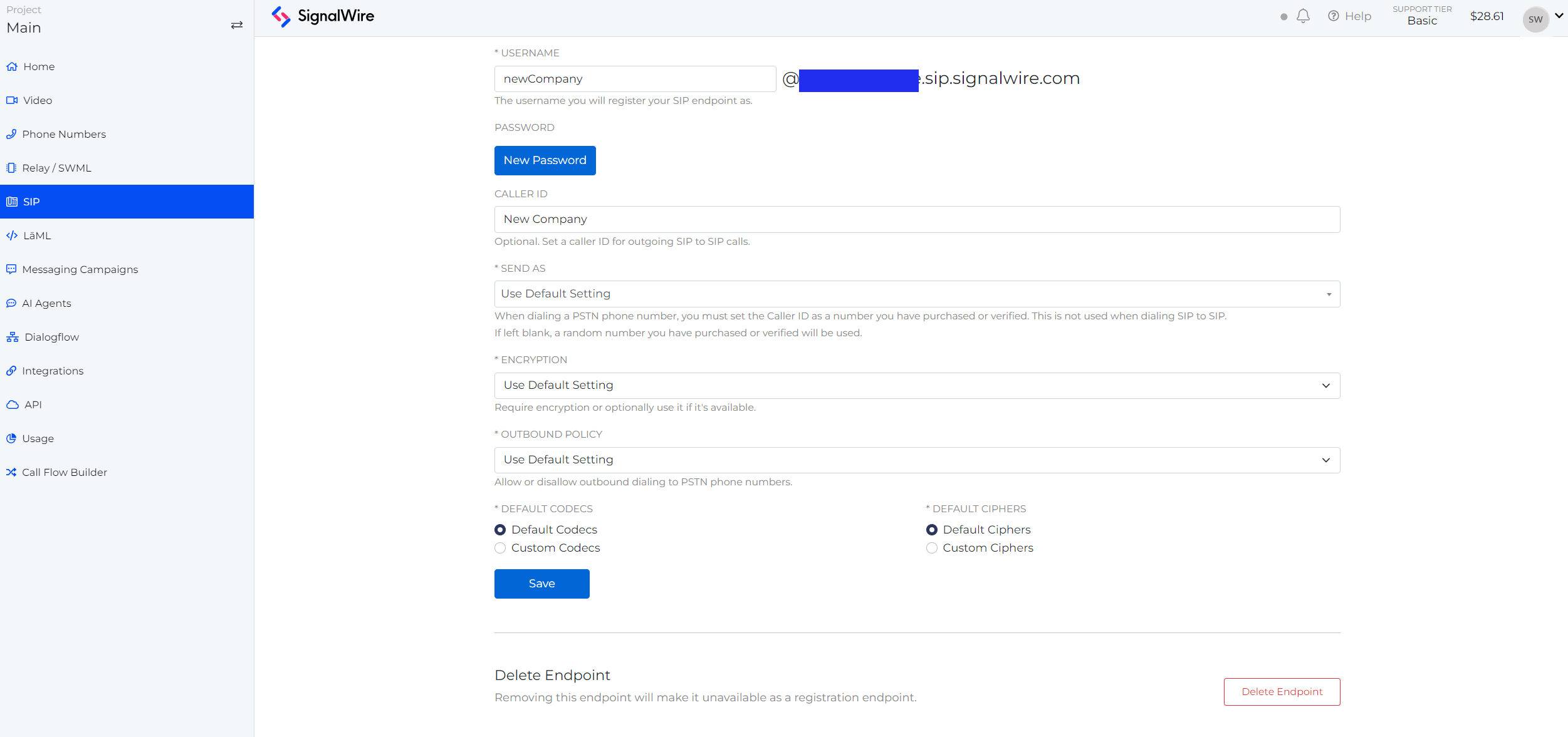 Image that shows the Sip endpoint settings. All default options are selected.