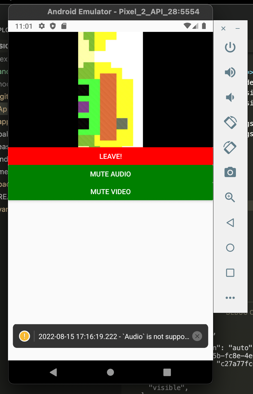 A screenshot of the React Native application. Buttons beneath the video allow the user to Leave, Mute or Unmute Audio, and Mute or Unmute Video.