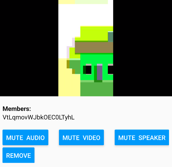 A screenshot of the members list UI. Each member is listed in a bullet point, and inline buttons allow for muting or unmuting audio, video, and speaker, and removing the member, on an individual basis.