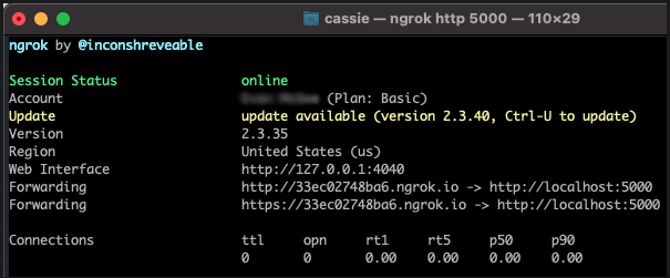 ngrok cli interface