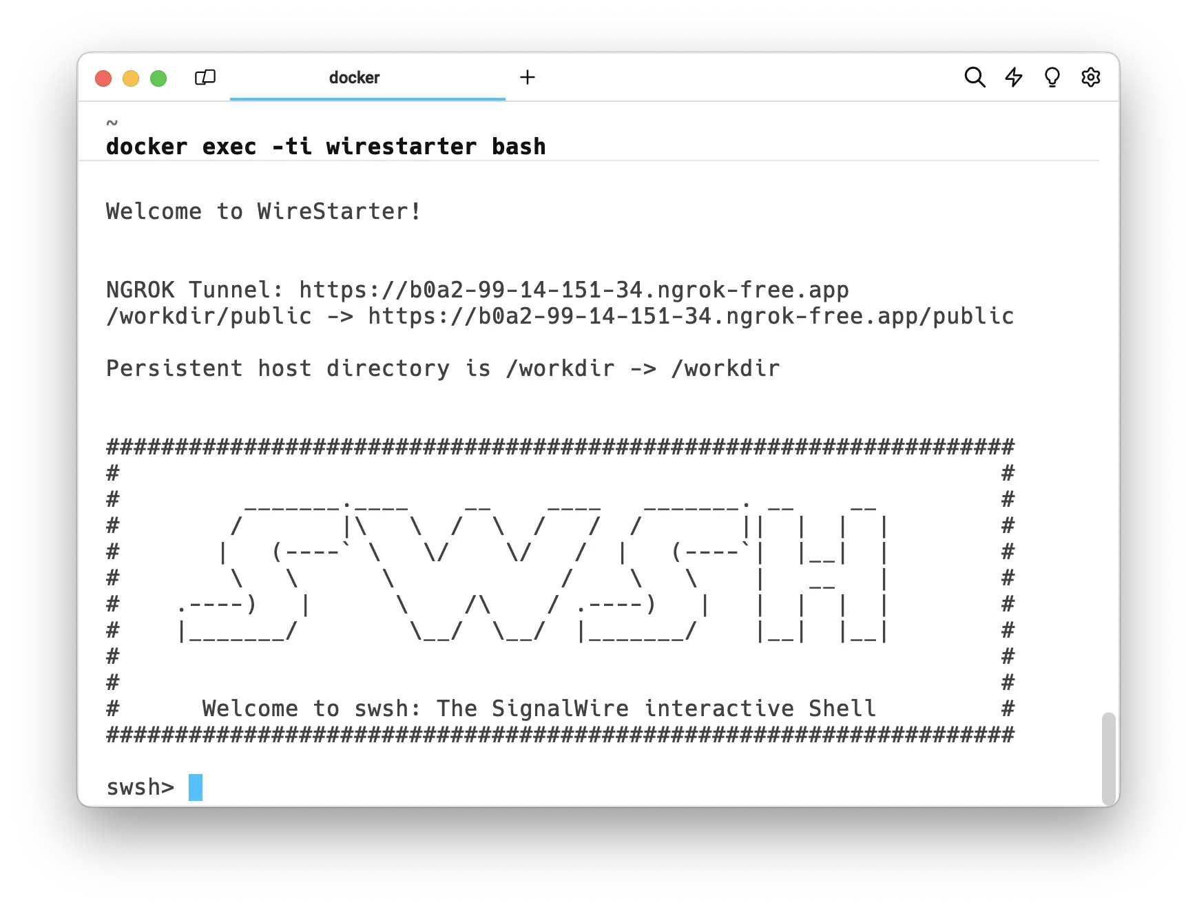A screenshot of the SWSH terminal.