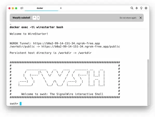 Screen recording of the setup script.