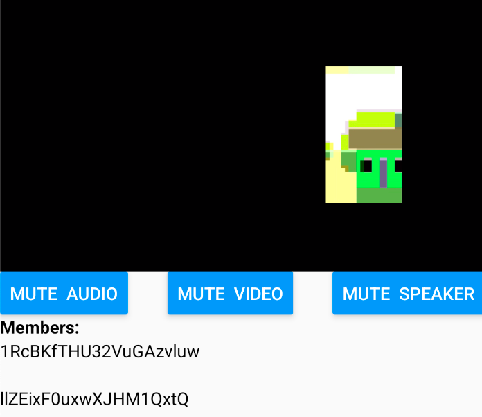 A screenshot of the video element. Beneath the video, controls allow the user to mute audio, mute video, and mute speaker. Members are listed beneath these buttons.